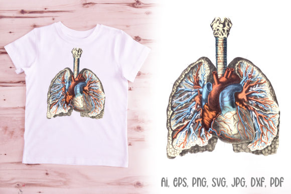 Lungs Illustration Anatomy Logo Design: A Creative Asset Guide